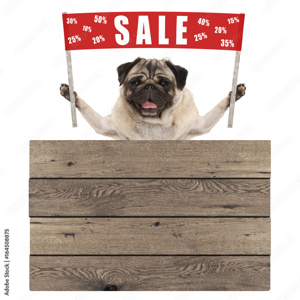 Do I Need A License To Sell Puppies