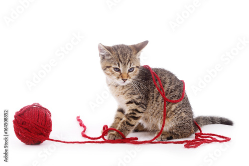 chaton tigré jouant avec une pelote de laine rouge photo