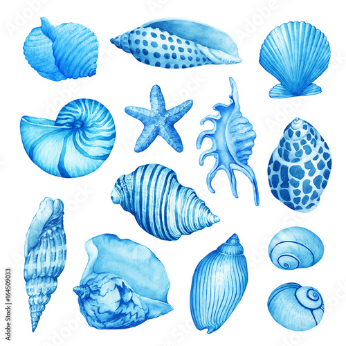 Set, composition of underwater life objects - blue sea shells. Illustrations of marine design. Hand drawn watercolor painting on white background.