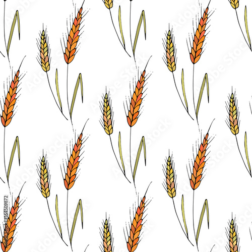 Seamless vector background with wheat spikelets.