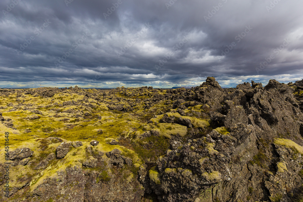 Berserkjahraun lava field in Snaefellsnes peninsula, Iceland