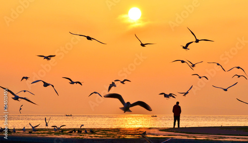 Young man walking on seashore at sunset. Birds flying around. 