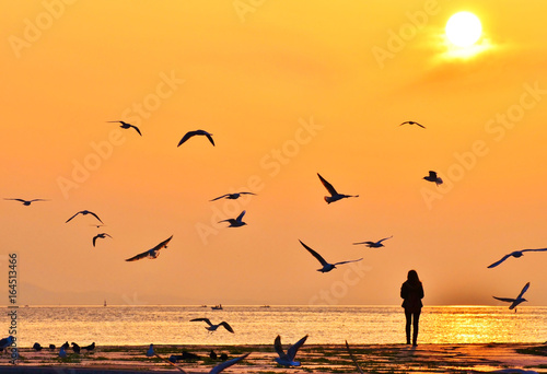 Young girl walking on seashore at sunset. Birds flying around.  © oralz