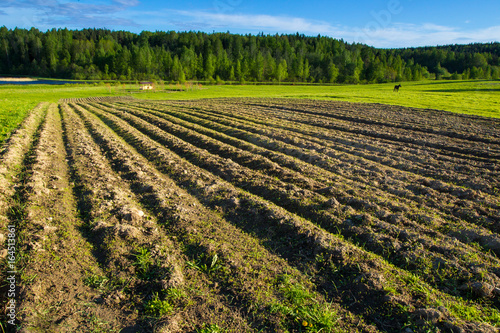 Plowed field. Rural landscape.