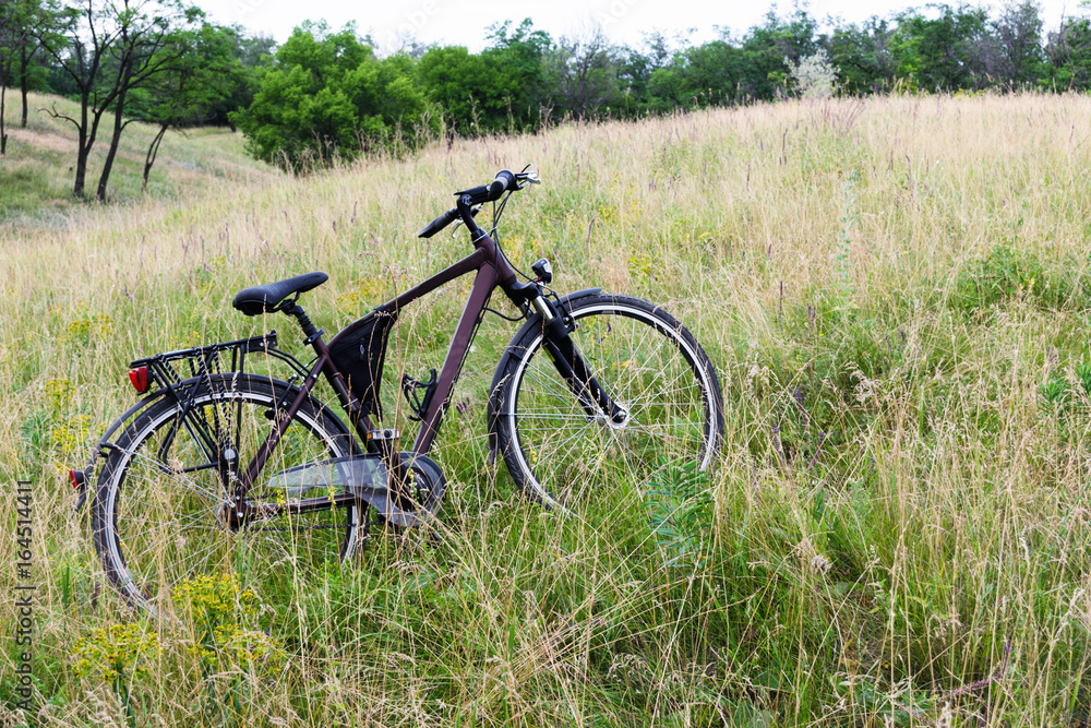 The bicycle stands in a meadow flowers against a background of green trees and a forest