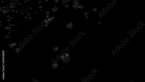 Wallpaper Mural A collection of small soap bubbles floating on a dark background Torontodigital.ca