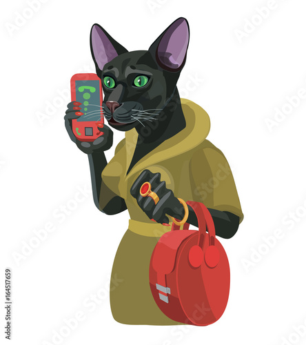Black cat girl talking on mobile phone/ Black cat girl talking on a mobile phone, she is very attentive and smart, great lady to make a screensaver who is calling you!