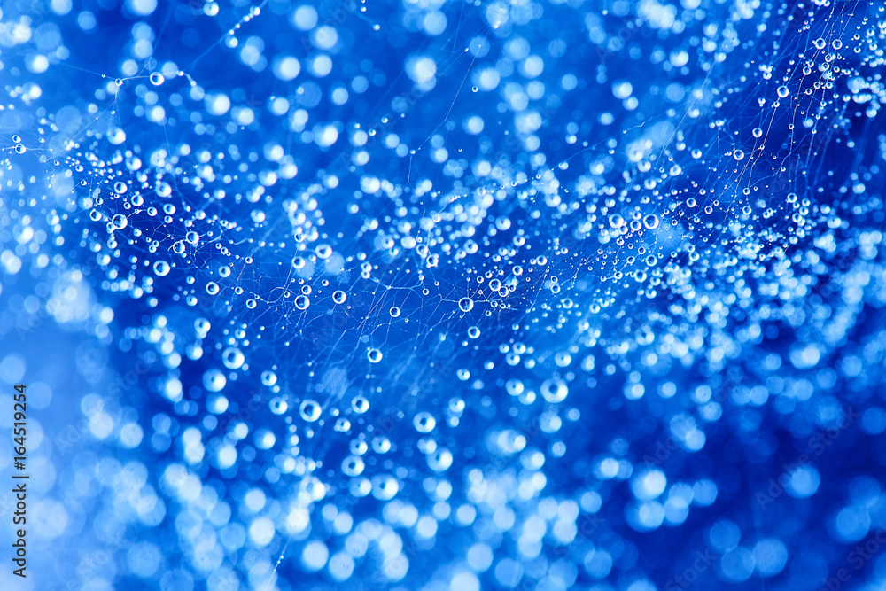 Abstract blue bokeh texture background. Drop on spider web Abstract blue bokeh texture background. Drop on spider web