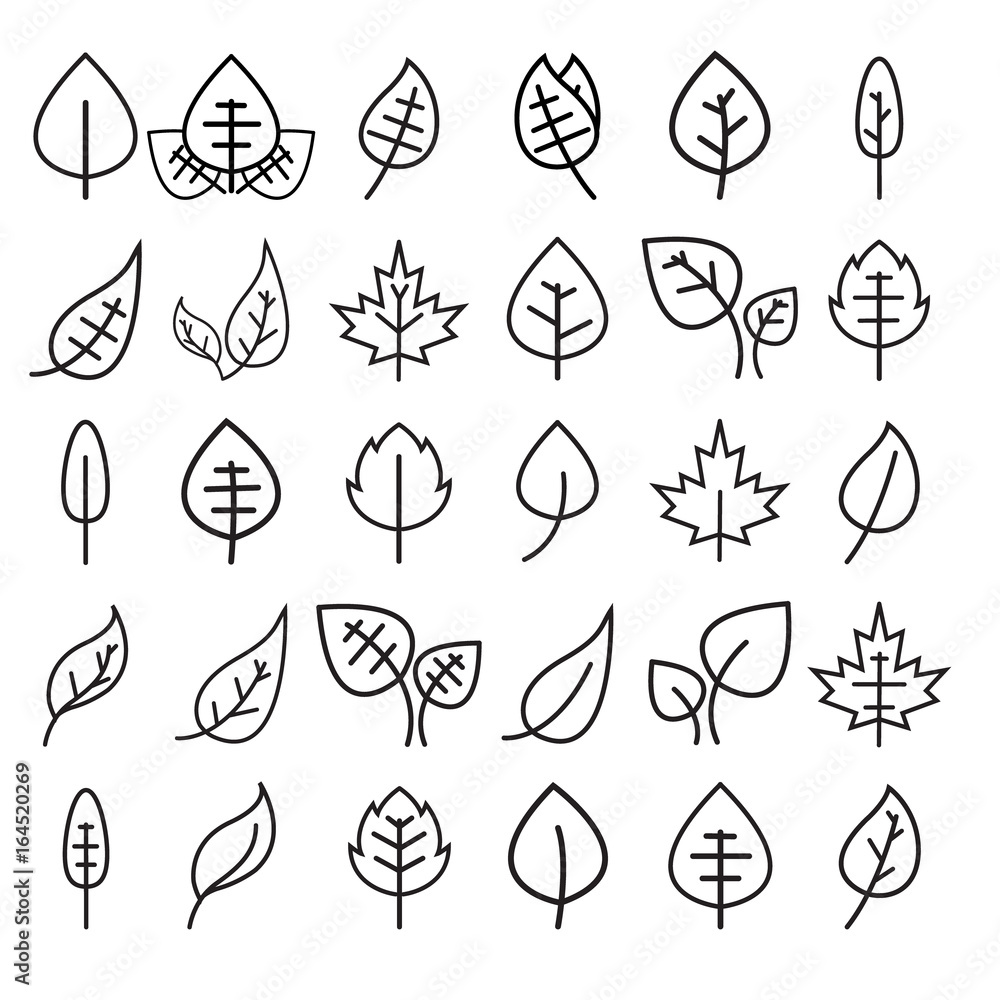 set of leaf line icon