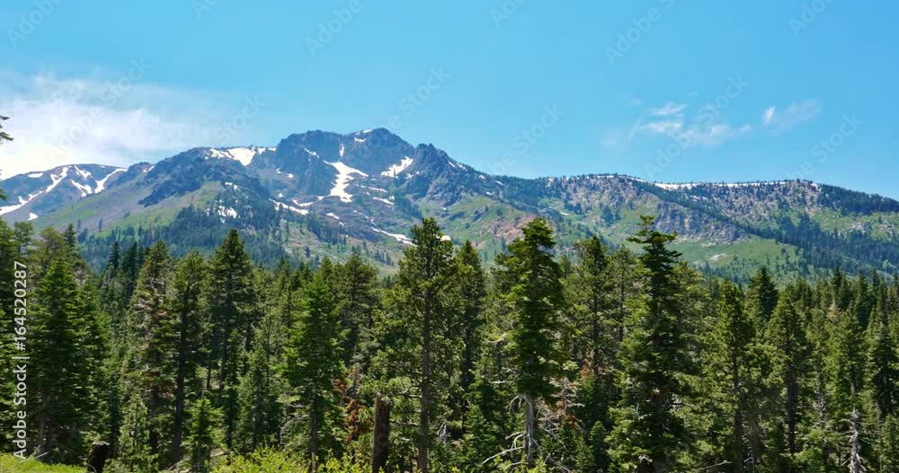 Views from Mount Tallac trail, July 2017 Views from Mount Tallac trail, July 2017