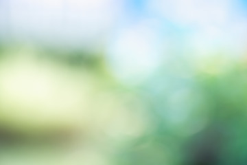 Blur background of green tree with sky bokeh nature light