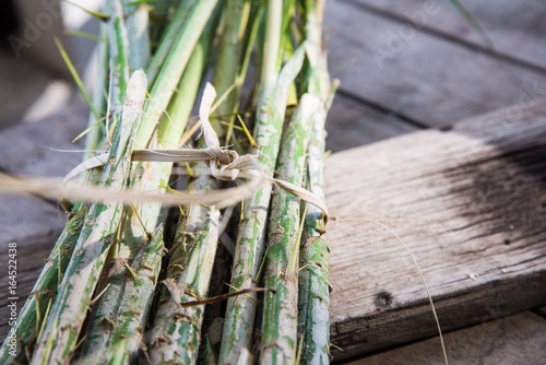  Rattan palm raw food .