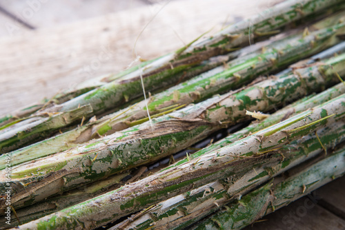  Rattan palm raw food . photo