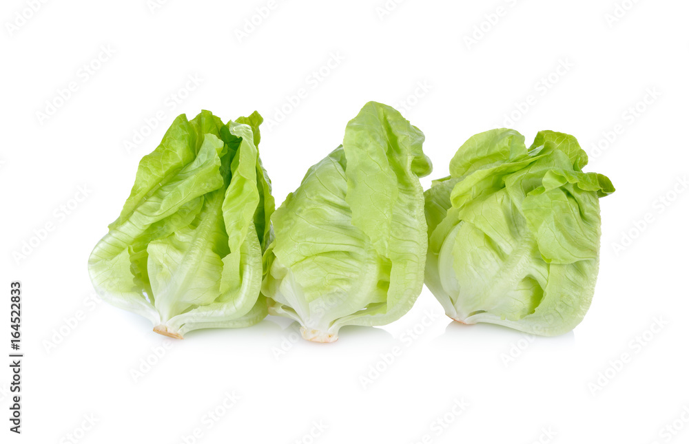 fresh butter head lettuce on white background fresh butter head lettuce on white background