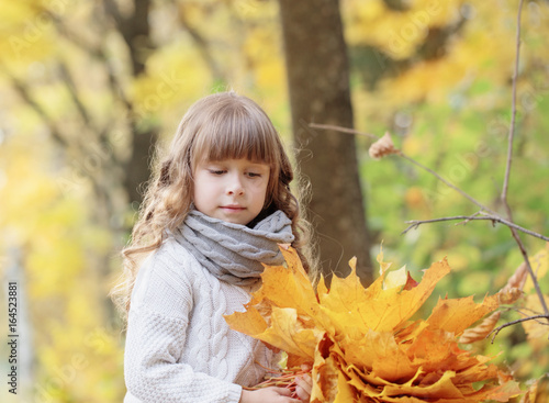 little girl with maple leaves in park