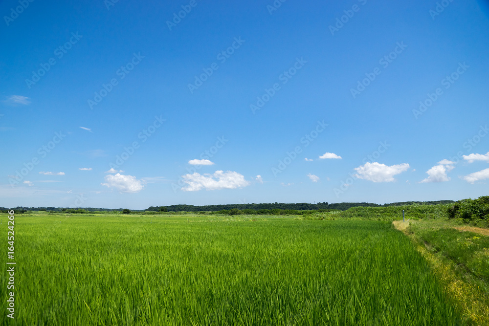 田園風景 田園風景