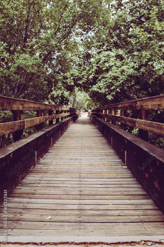Obraz premium Wooden Bridge Lines