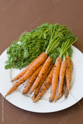 Plate of freshly harvested carrots