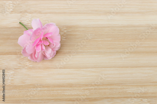 The pink fairy rose flower on the bamboo wood.