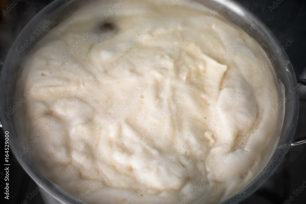 Craft Beer Wort Thick Protein Break Foam into the Boil Kettle Craft Beer Wort Thick Protein Break Foam into the Boil Kettle