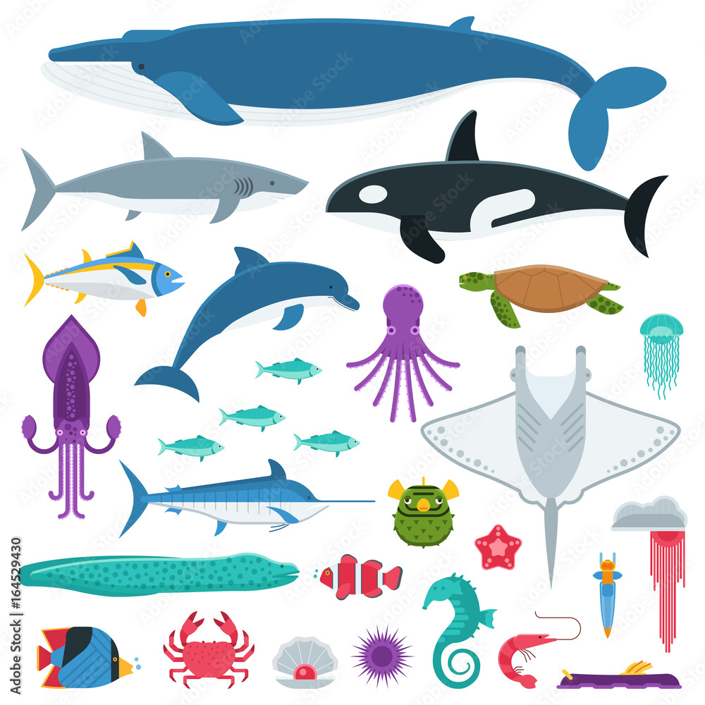 Underwater animals and sea creatures in cartoon style. Ocean and marine  fishes and other aquatic life collection. Vector illustration of blue  whale, devilfish, dolphin, orca, octopus, mollusks. Stock Vector | Adobe  Stock