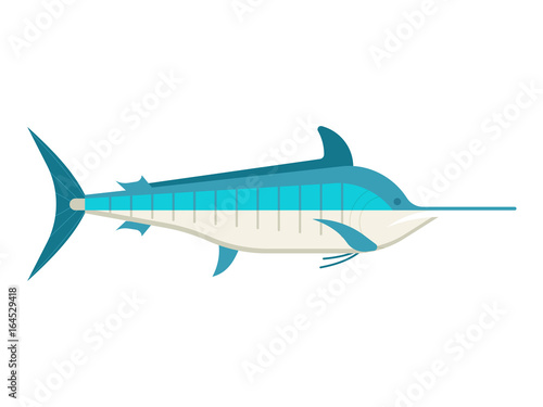 Blue marlin fish vector illustration. Ocean swordfish isolated on white background.
