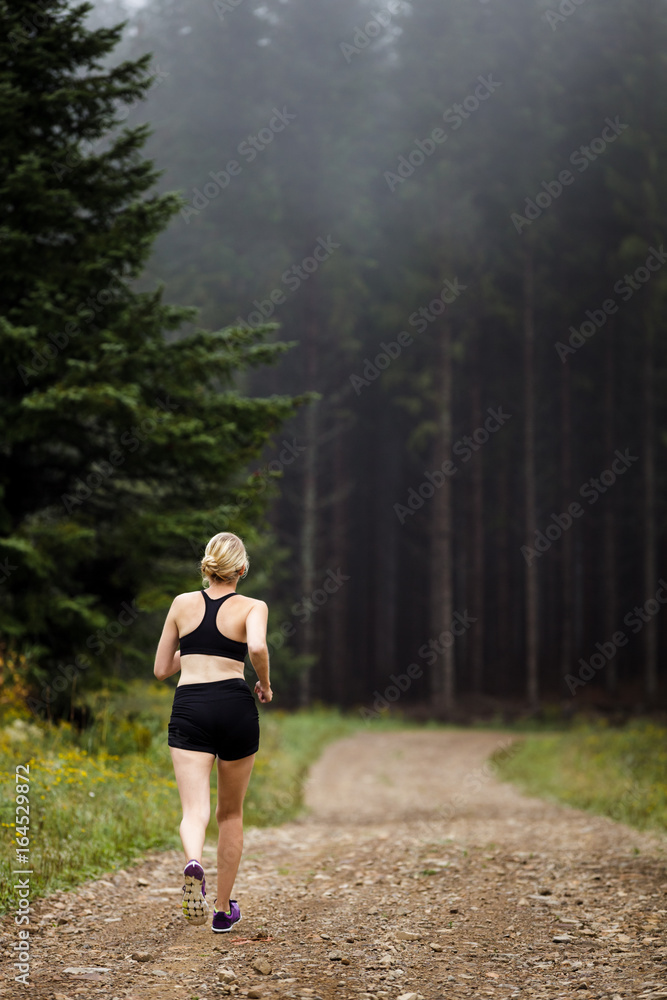 Jogger Training in Forest early in the Morning. Jogger Training in Forest early in the Morning.