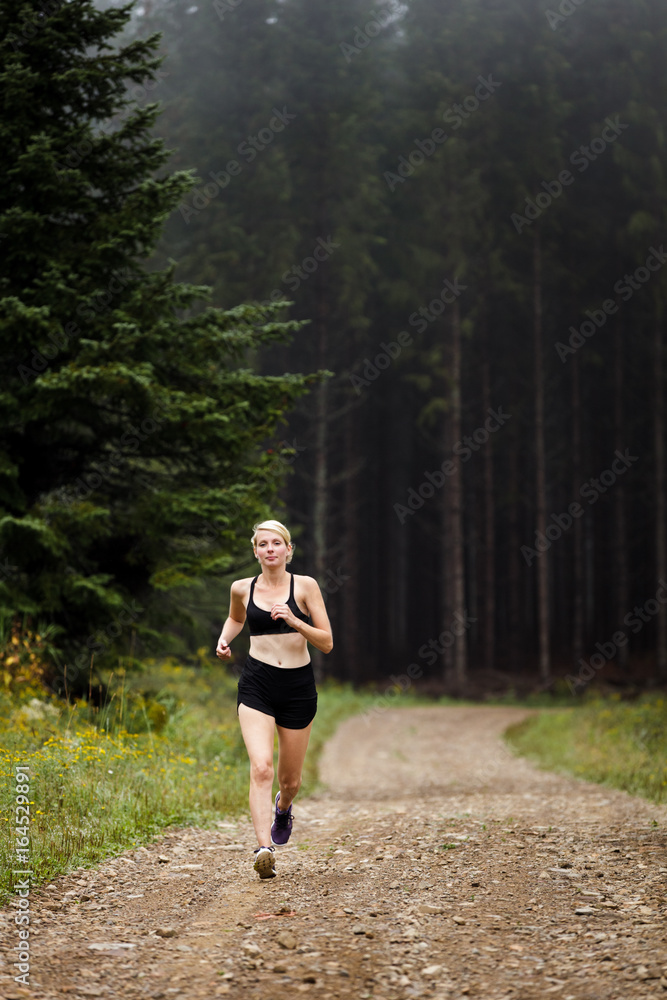 Jogger Training in Forest early in the Morning. Jogger Training in Forest early in the Morning.