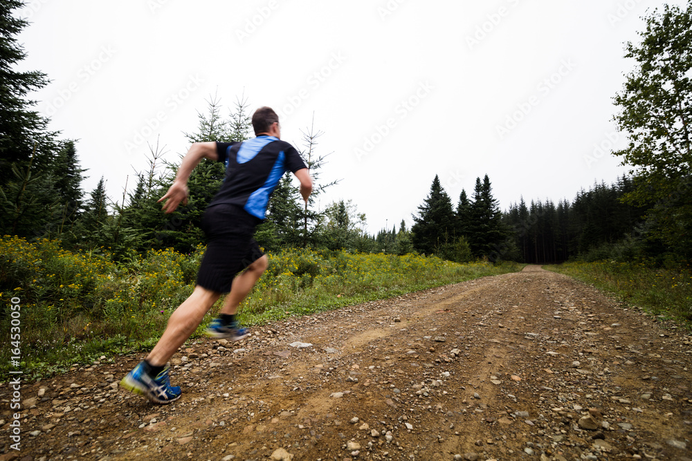 Jogger Training in Forest early in the Morning. Jogger Training in Forest early in the Morning.