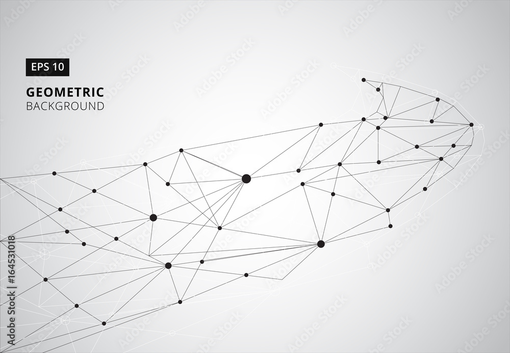 Obraz premium Black and White geometric graphic background. Perspective backdrop. Digital data visualization. Scientific cybernetic vector