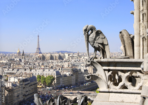 Gargoyle overlooking Paris up on Notre Dame de Paris, France