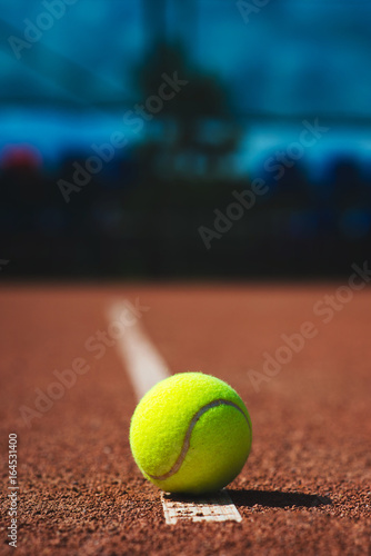Close up of tennis ball © Olena Bloshchynska