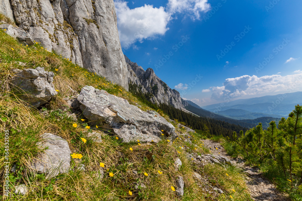 Mountain scenery in the Transylvanian Alps, on a bright summer day with blue skies and limestome cliffs