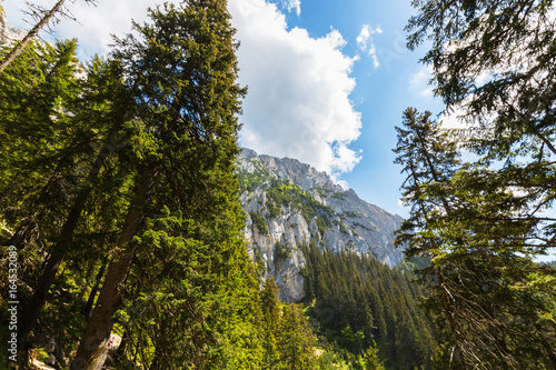 Mountain scenery in the Transylvanian Alps, on a bright summer day with blue skies and limestome cliffs photo