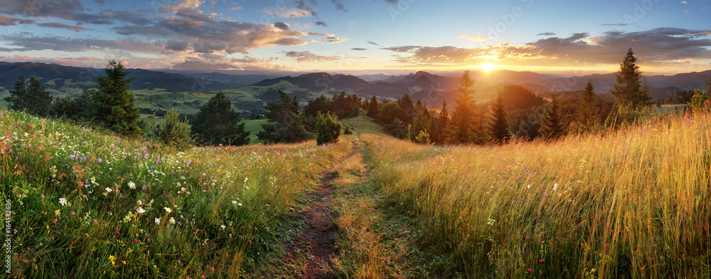 Obraz premium Piękny letni panoramiczny krajobraz w górach - Pieniny / Tatry, Słowacja