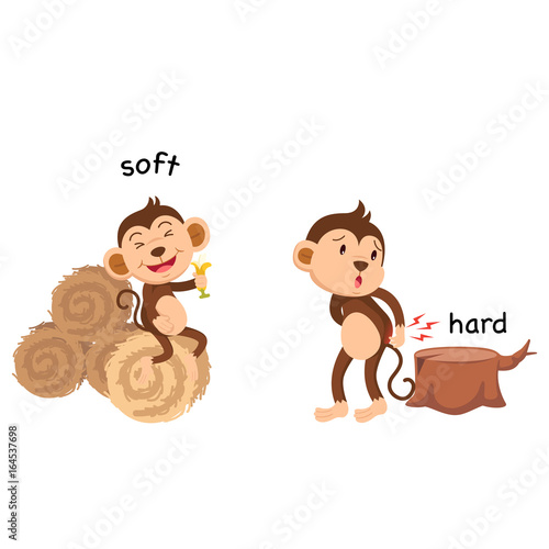 Opposite soft and hard illustration