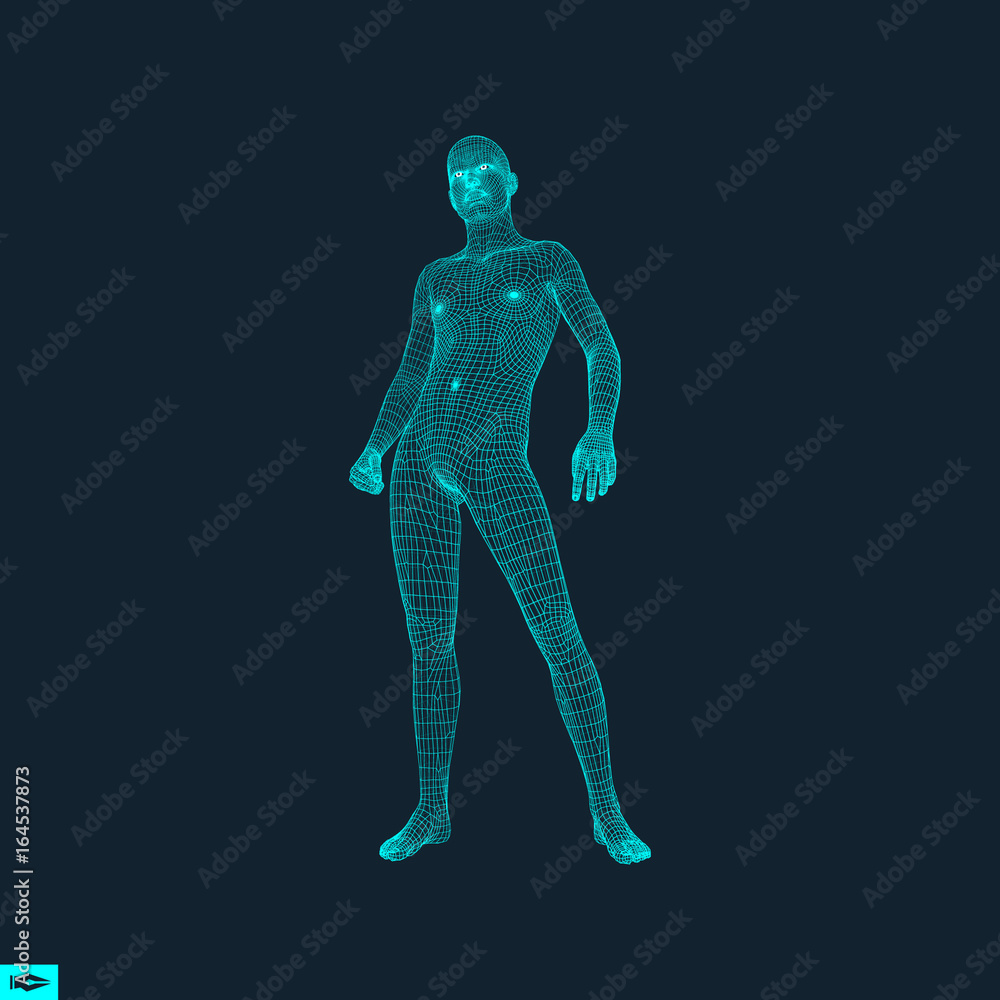 3D Model of Man. Polygonal Design. Geometric Design. Business, Science and Technology Vector Illustration. 3d Polygonal Covering Skin. Human Polygon Body. Human Body Wire Model.