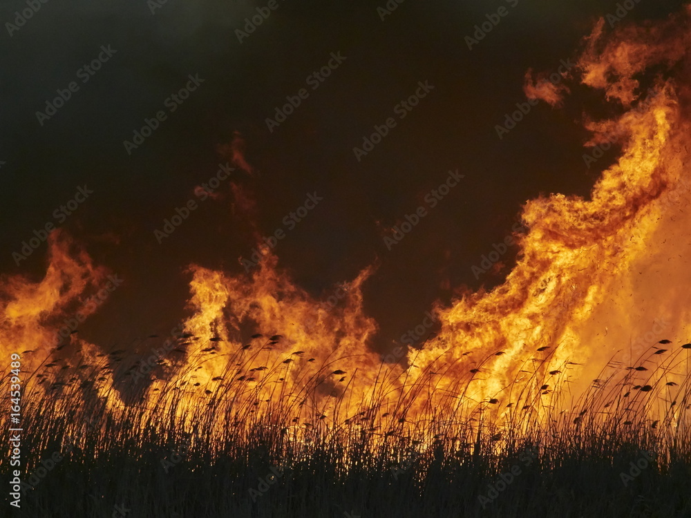 big flames on field during fire