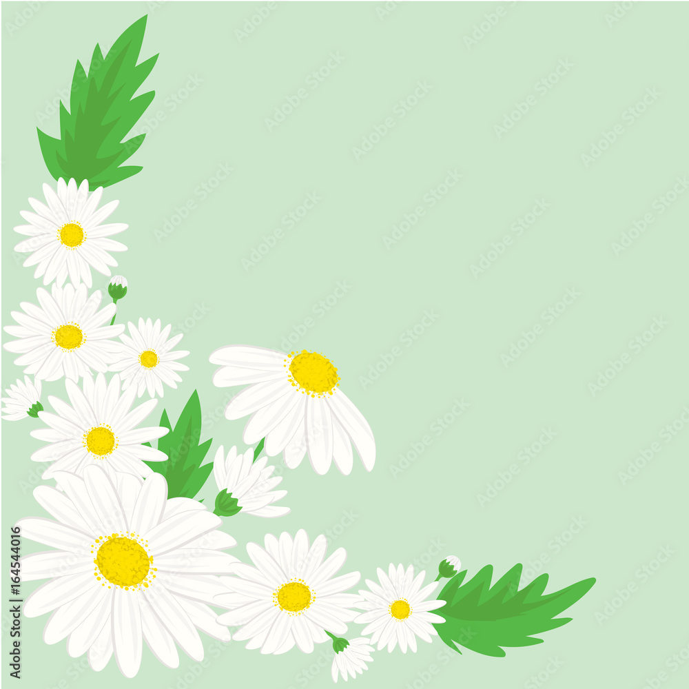 Flower arrangement of daisies. Design of cover for posters, greeting cards, calendars Flower arrangement of daisies. Design of cover for posters, greeting cards, calendars