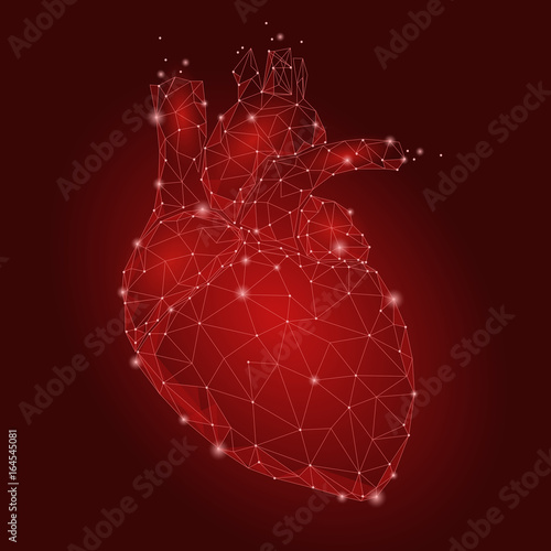 Human Heart Internal Organ Triangle Low Poly. Connected dots red color technology 3d model medicine healthy body part vector illustration