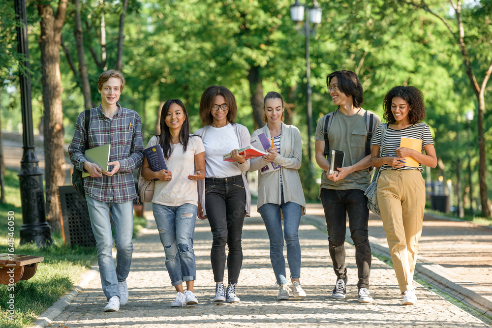 Fototapeta premium Group of happy young students walking outdoors