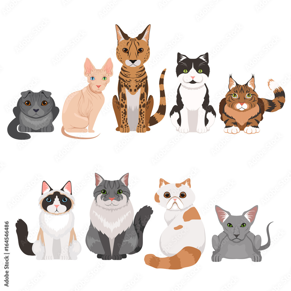 Vector illustrations set of many different kittens. Cats characters in cartoon style Vector illustrations set of many different kittens. Cats characters in cartoon style