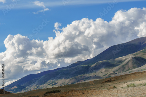 Clouds over Altai steppe in summer