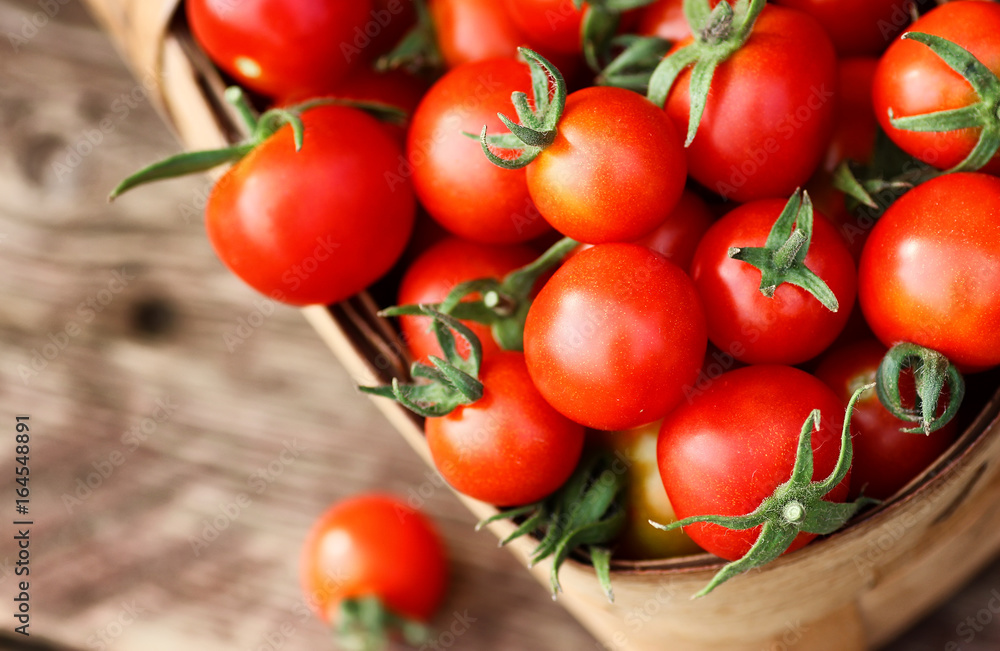 basket harvest fresh tomato
