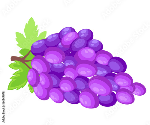Fresh bunch of grapes purple icon on white background. vector illustration in flat style Web site page and mobile app design