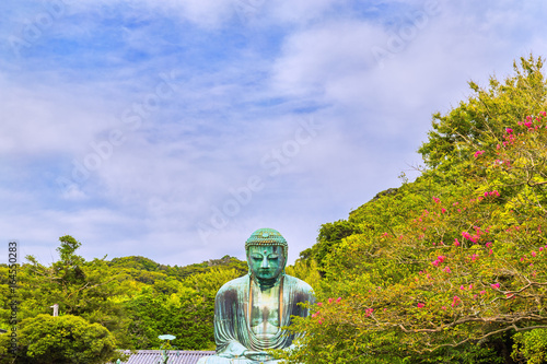 The Great Buddha in Kamakura Japan.The foreground is a cicada straw flower.
