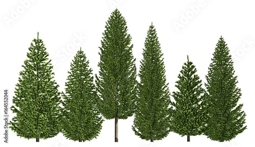Group of trees isolated on white 3d illustration © vik173