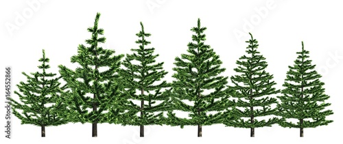 Group of trees isolated on white 3d illustration © vik173