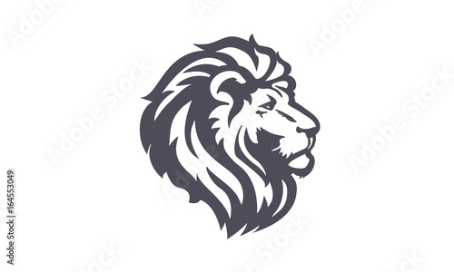 Löwe, Lion Illustration, Löwenkopf