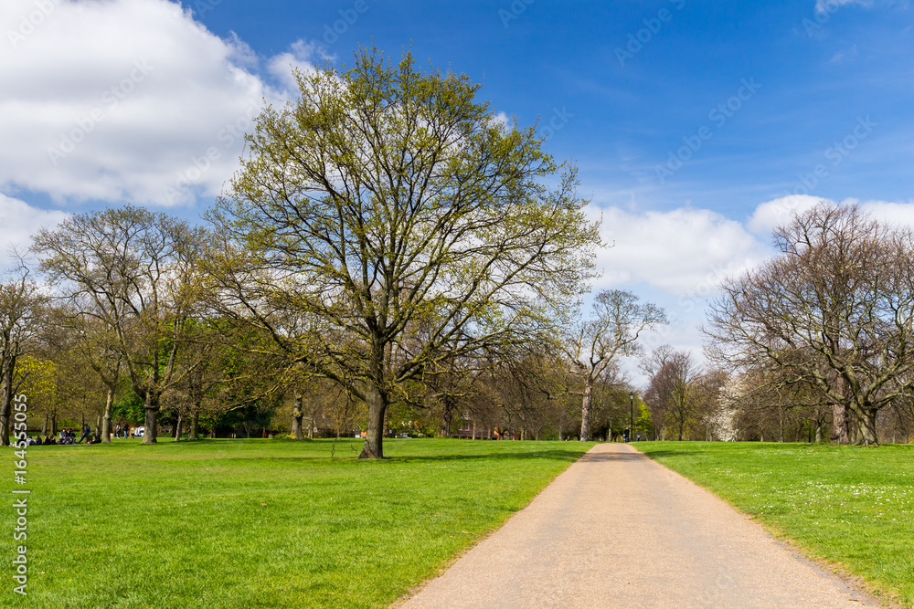 Pathway in the sunny Green Park